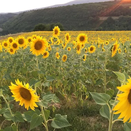 Santulivieri With Dream View Vakantieboerderij