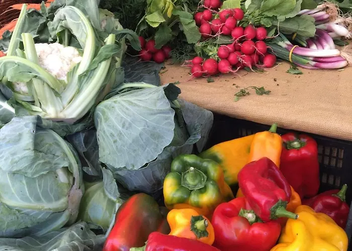 Santulivieri With Dream View * Монтеккьо