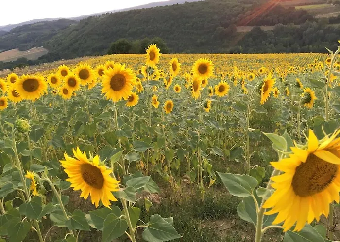 Santulivieri With Dream View Vakantieboerderij